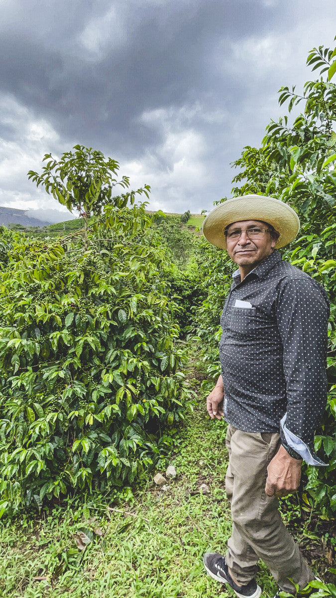 Finca Arashi