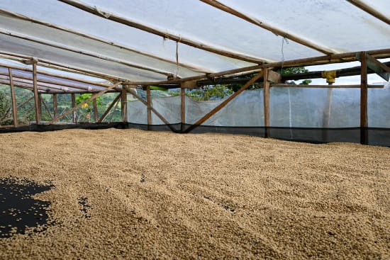 Decaf de Huila